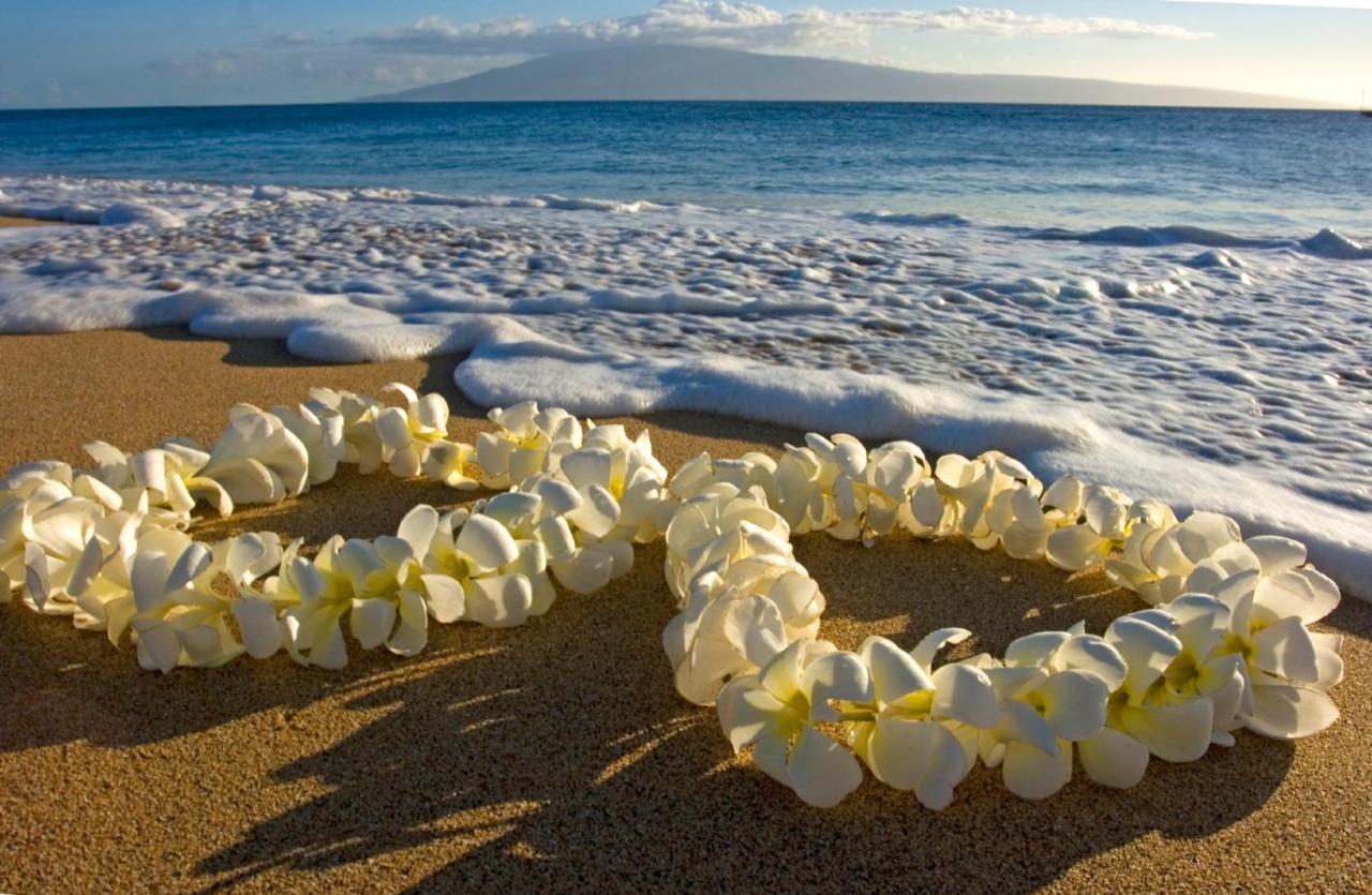 Diamond Head Views Retreat With Free Parking & Near Waikiki Beach! Honolulu Exterior photo